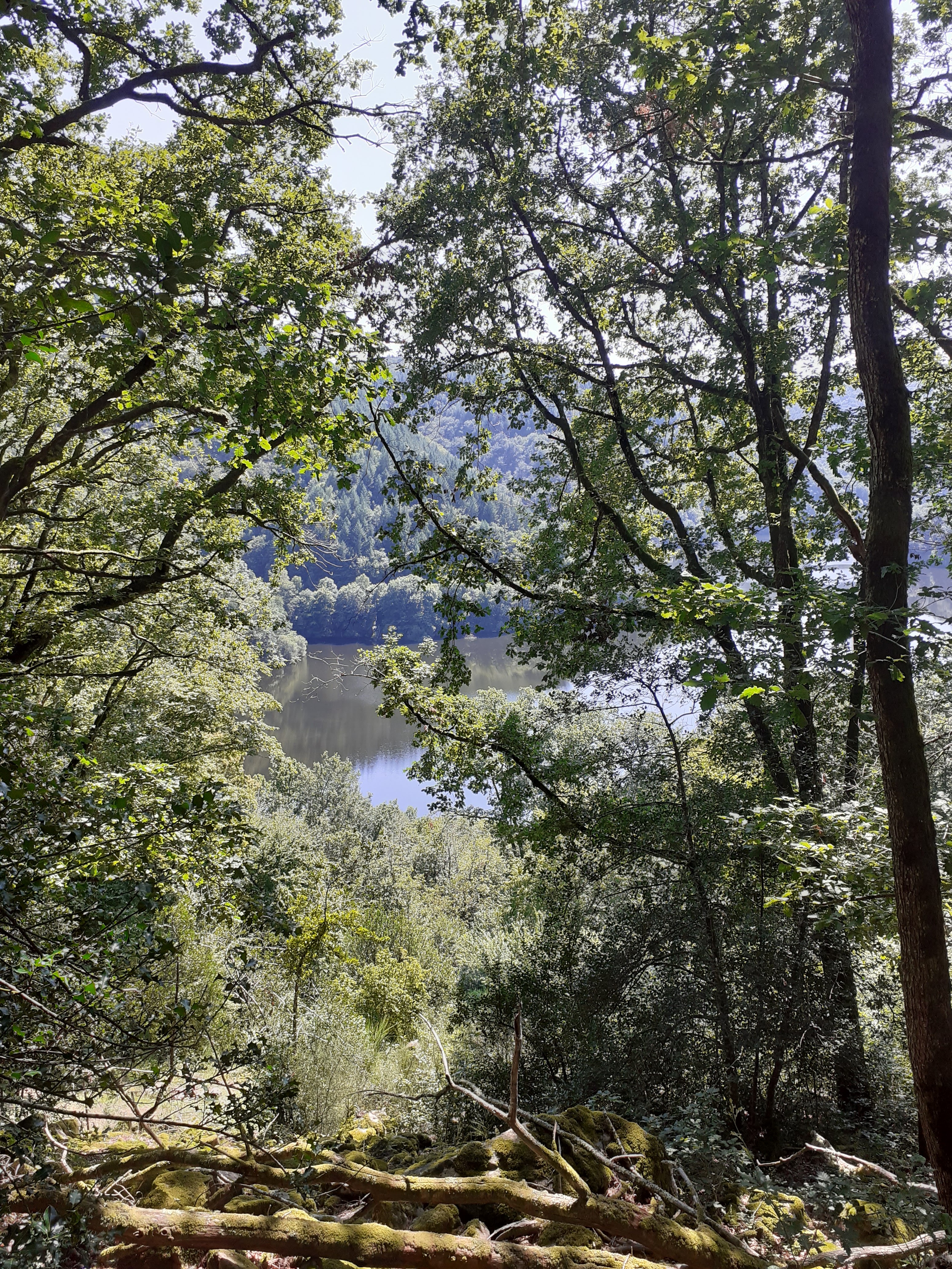 Photo n° 4 de l'avis de Isabelle.e fait le 10/08/2021 à 16:12
