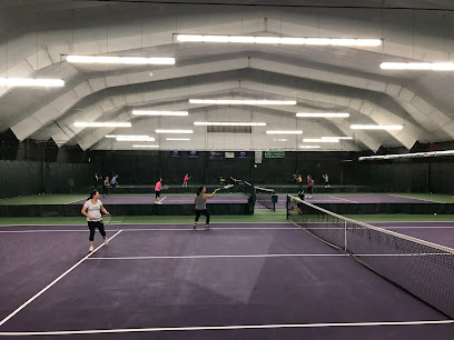 Princeton Tennis Program