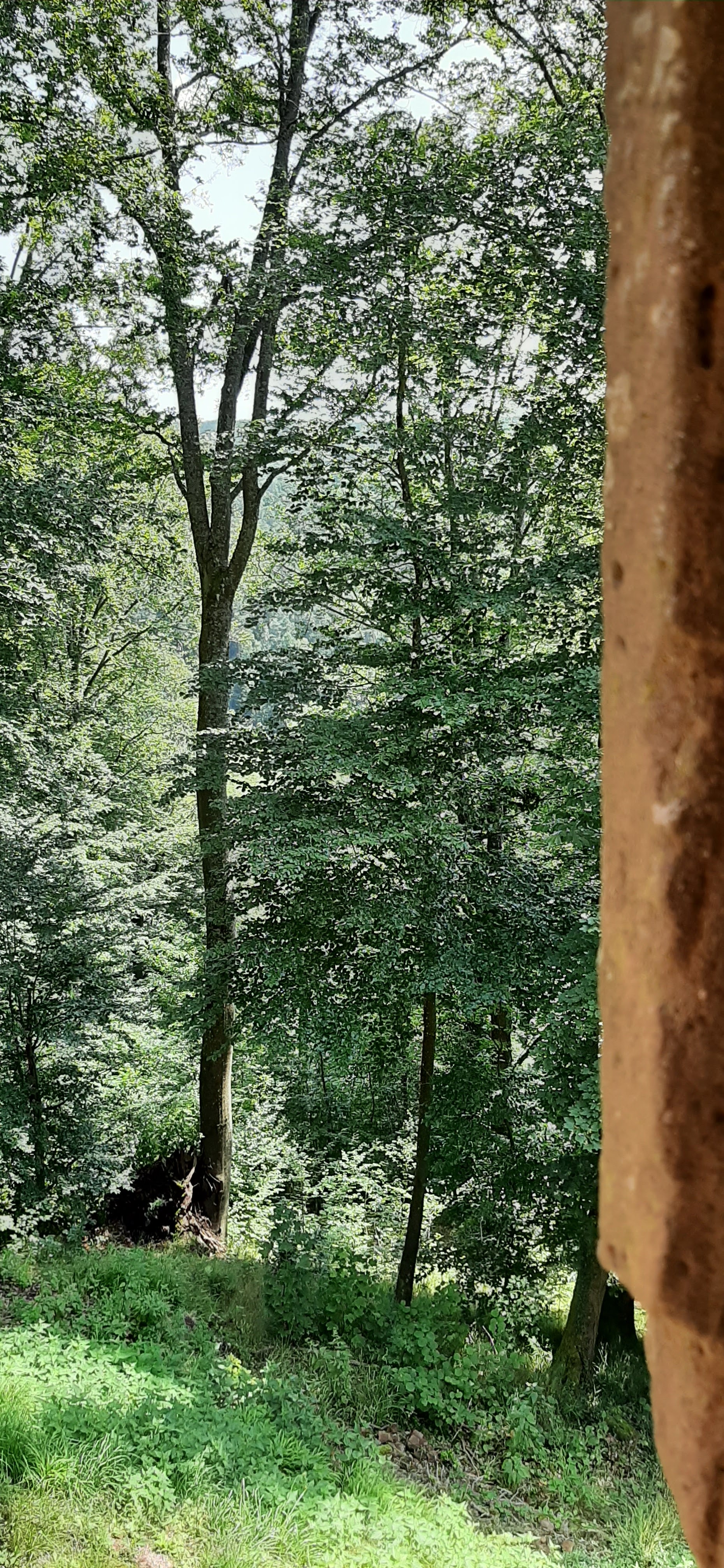 Photo n° 8 de l'avis de Carlos.a fait le 18/07/2021 à 16:13