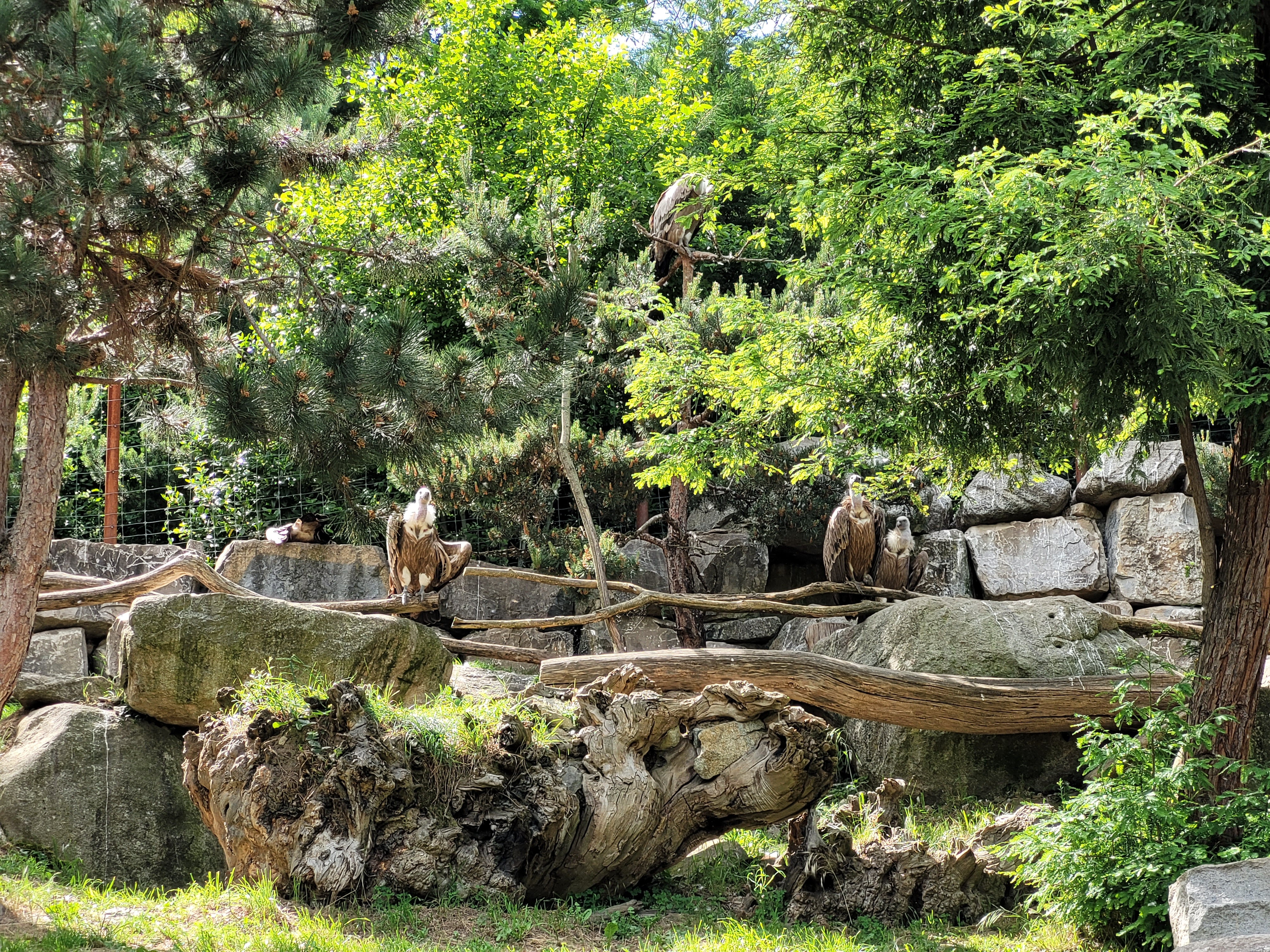 Photo n° 13 de l'avis de florian.a fait le 22/05/2022 à 17:27