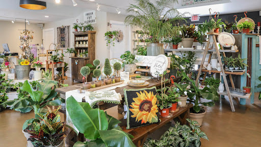 Home Improvement Store «Penn Valley True Value Hardware», reviews and photos, 17387 Penn Valley Dr, Penn Valley, CA 95946, USA