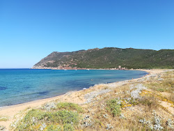Spiaggia di Porto Ferro'in fotoğrafı doğal alan içinde bulunmaktadır