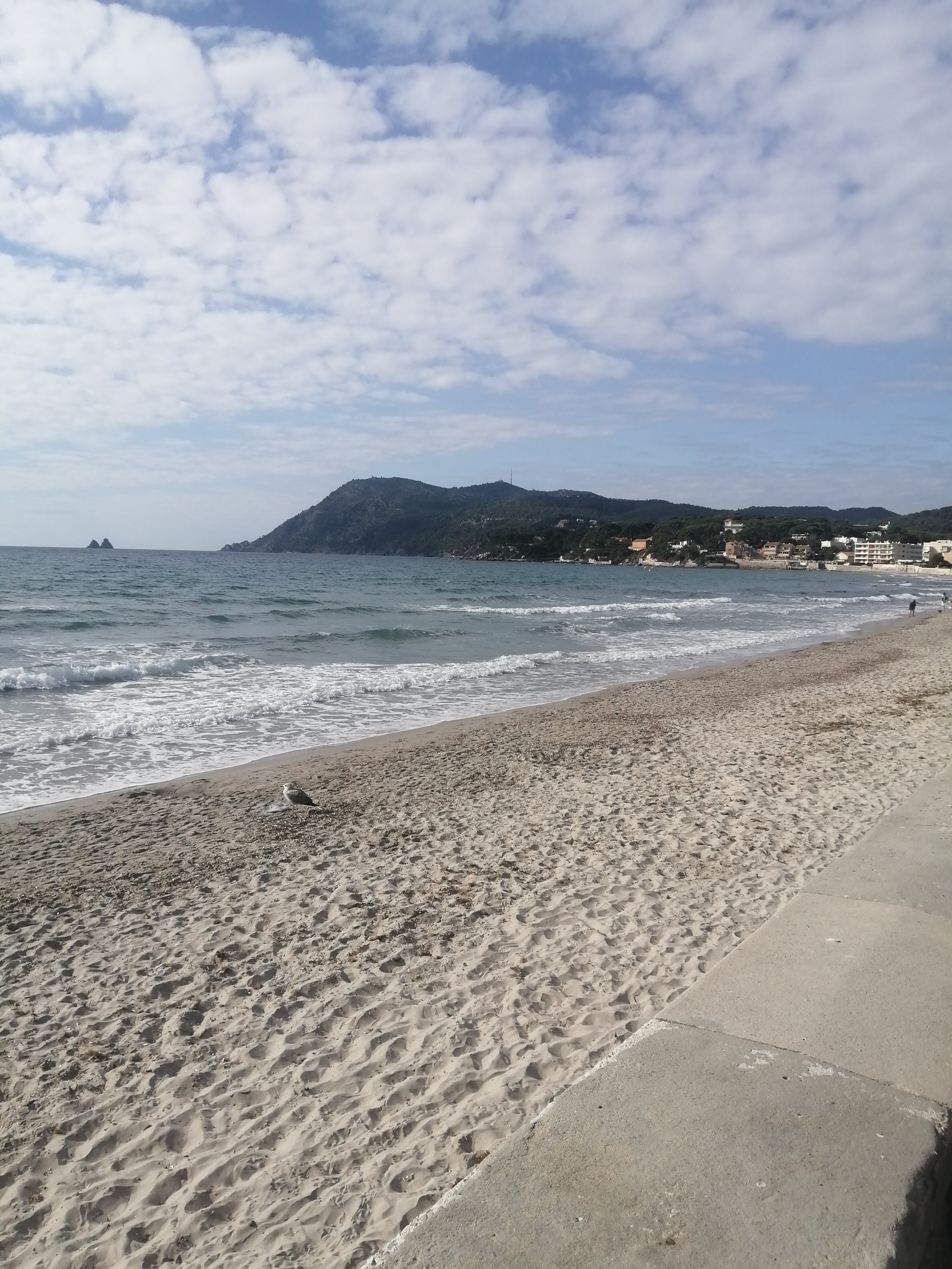 Photo n° 5 de l'avis de Sandrine.a fait le 13/11/2021 à 15:23