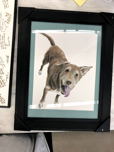 Craft Store «Michaels», reviews and photos, 9315 Dorchester St #101, Highlands Ranch, CO 80129, USA