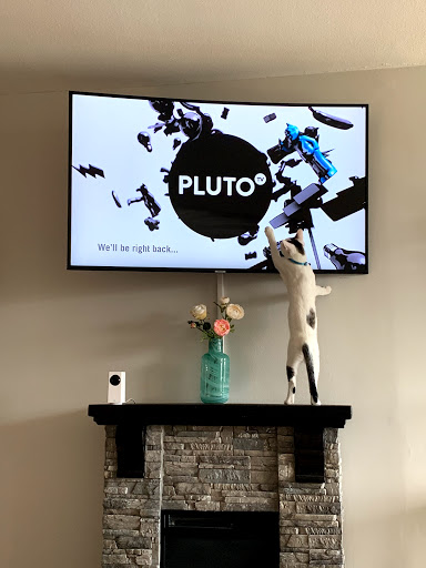 Pet Supply Store «PetSmart», reviews and photos, 220 Commerce Blvd, Fairless Hills, PA 19030, USA