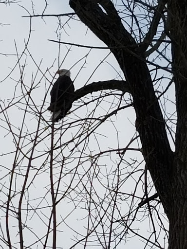 Nature Preserve «Seven Pillars Nature Preserve», reviews and photos, 3555 Mississinewa Rd, Peru, IN 46970, USA