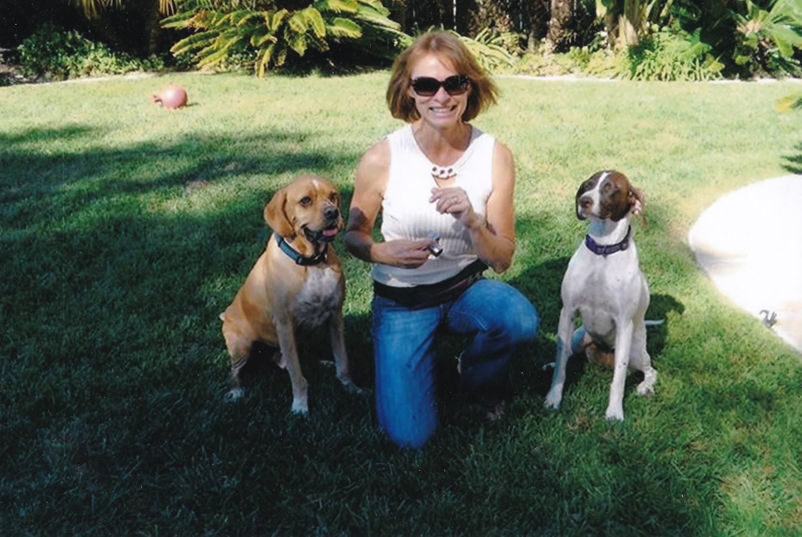 Janet Thornton Dog Trainer