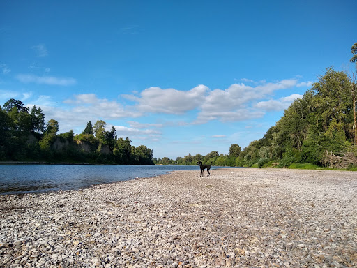 Willamette Mission River Beach