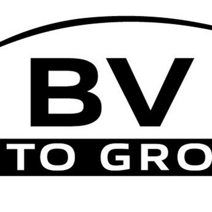 BV Auto Group