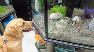 Petco - photo 75