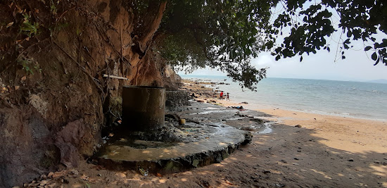 Oracular Pool Beach