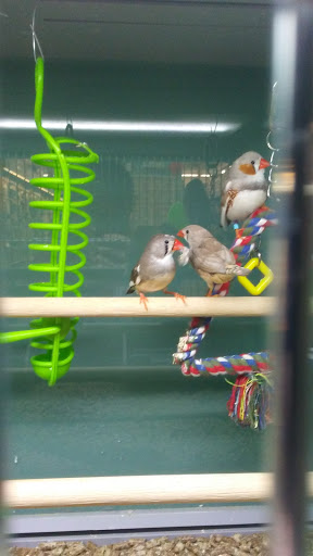 Pet Supply Store «Pet Supplies Plus», reviews and photos, 1377 N 21st St, Newark, OH 43055, USA