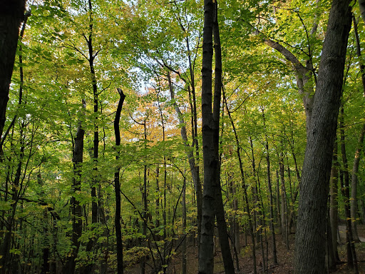 Forest Park Nature Center image 6