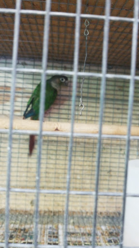 Animal Feed Store «Farmers Feed & Pet Supply», reviews and photos, 1302 E Miner Ave, Stockton, CA 95205, USA