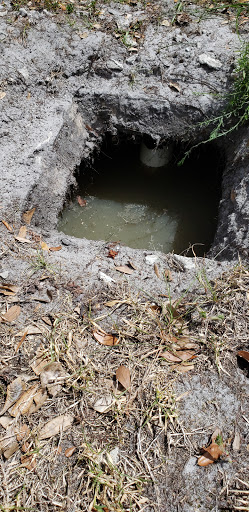 Plumber «Roto-Rooter Plumbing & Drain Services», reviews and photos, 320 S Bumby Ave #23, Orlando, FL 32803, USA