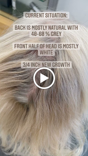 Hair Salon «Got Hair? Color Salon», reviews and photos, 9957 Interstate 10 Frontage Rd, San Antonio, TX 78230, USA