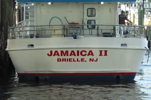 Jamaica II image