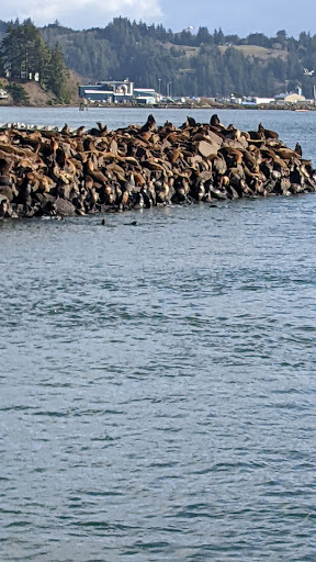 Coffee Shop «Bayscapes Gallery & Coffee house», reviews and photos, 333 SW Bay Blvd, Newport, OR 97365, USA