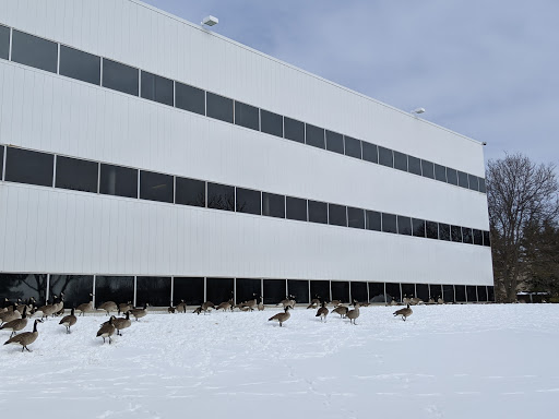 Employment Agency «Aerotek», reviews and photos, 100 Phoenix Dr #250, Ann Arbor, MI 48108, USA