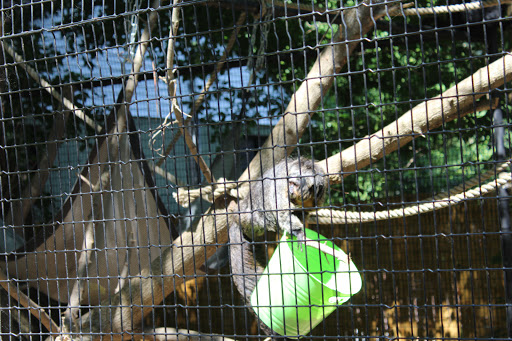 Day Care Center «Little Lambs Day Care, Inc.», reviews and photos, 837 Sumneytown Pike, Lansdale, PA 19446, USA