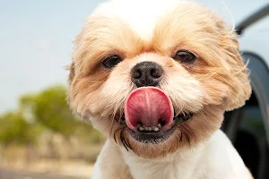 Animalul Fericit | Pet Shop Online image