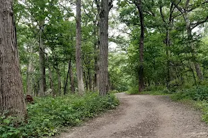 Palos Park Woods-South image