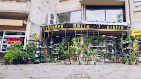 Магазин за цветя и сувенири ,,Абстракт" Град Ловеч