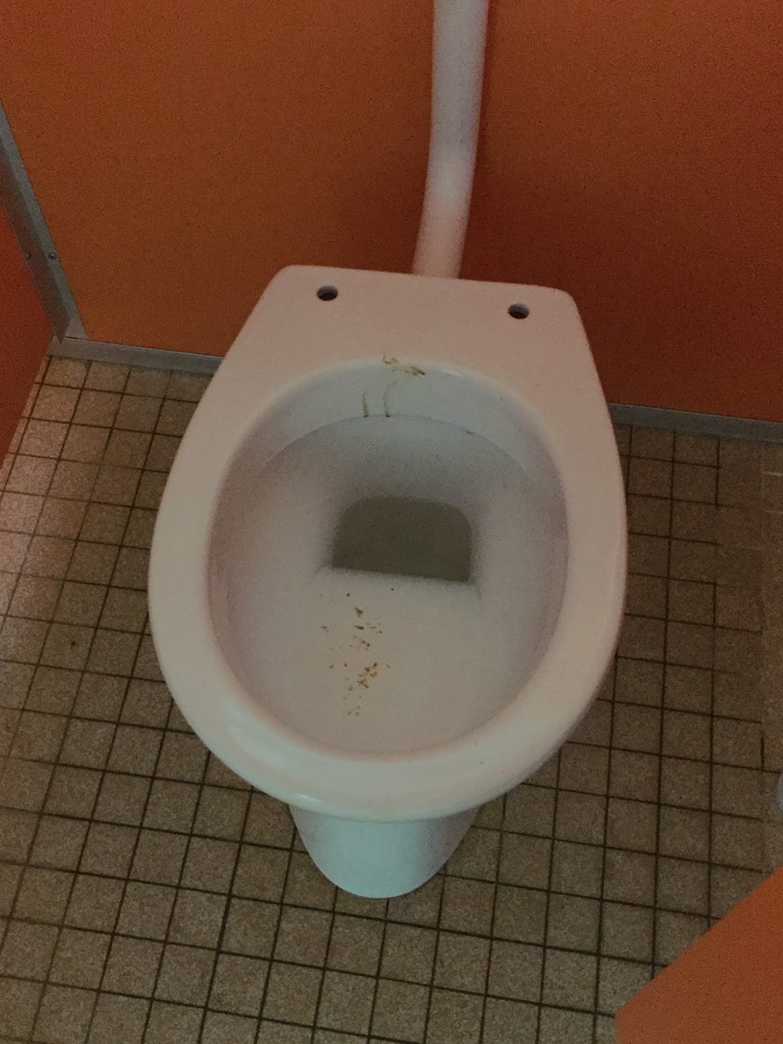 Photo n° 2 de l'avis de Océane.e fait le 27/08/2018 à 12:58