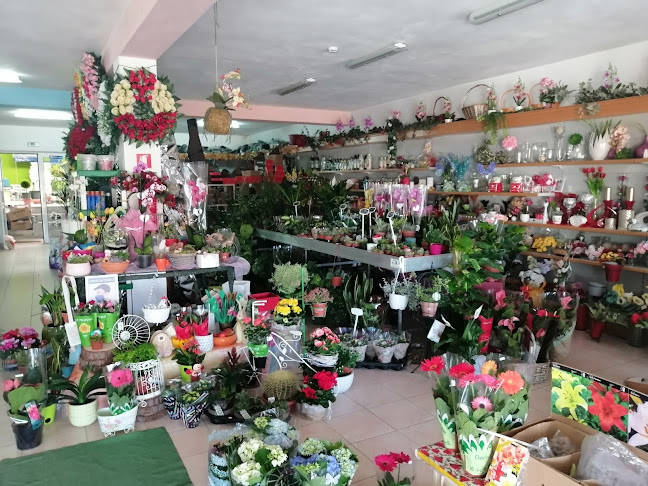 Florista Aquiflor - Floricultura