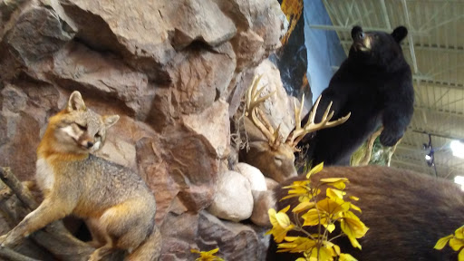 Outdoor Sports Store «Field & Stream», reviews and photos, 5215 Century Ave, Kalamazoo, MI 49006, USA