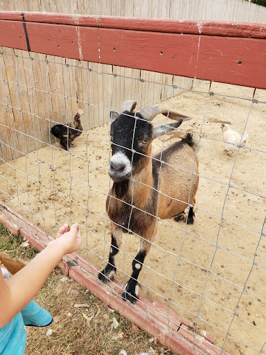 Zoo «3 Palms Zoo & Education Center», reviews and photos, 924 Blackbird Forest Rd, Clayton, DE 19938, USA