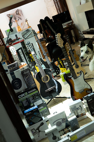 AKITA MUSIC Instrumentos Musicales y Audio - Tienda de instrumentos musicales