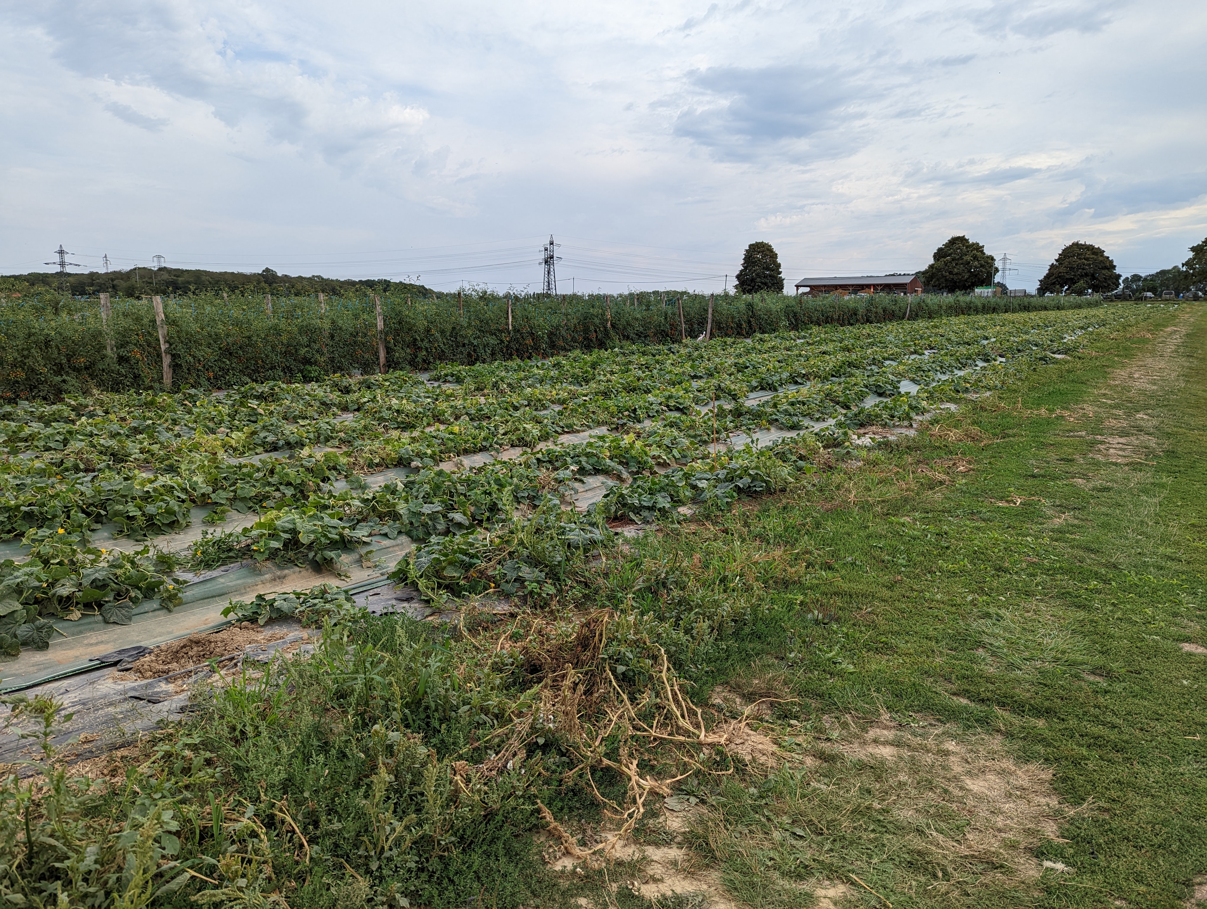 Photo n° 3 de l'avis de Clément.M fait le 25/08/2022 à 21:43
