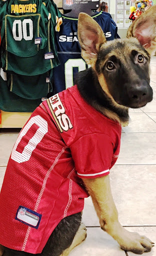 Pet Store «Animal Kingdom», reviews and photos, 5000 S Arizona Mills Cir, Tempe, AZ 85282, USA