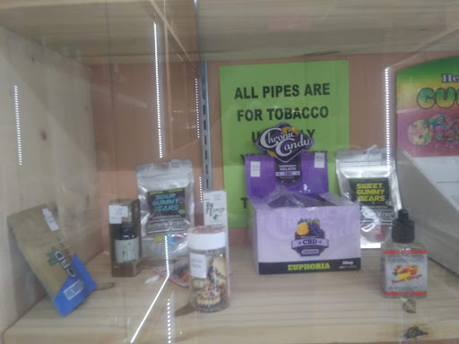 Explore butterfly tattoo ideas on arm, creative tattoo ideas in Jackson, available at Area 51 Tattoo & Supply