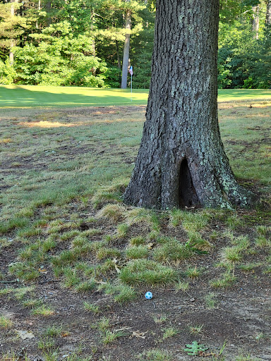 Golf Course «Swanson Meadows Golf Course», reviews and photos, 216 Rangeway Rd, North Billerica, MA 01862, USA