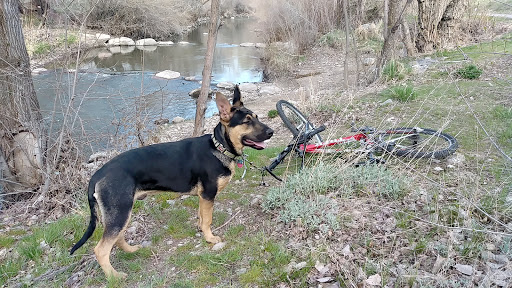 Lodging «PetSmart North Ogden», reviews and photos, 175 W 12th St, Ogden, UT 84404, USA