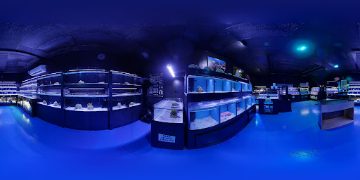 Aquarium «Aquatic Design & Development Group, LLC», reviews and photos, 1725 SW 17th St, Ocala, FL 34471, USA