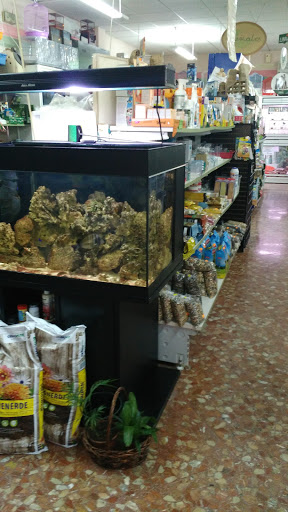 Naturalia en San José de la Rinconada, Sevilla