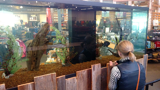 Clothing Store «L.L. Bean», reviews and photos, 280 School St, Mansfield, MA 02048, USA