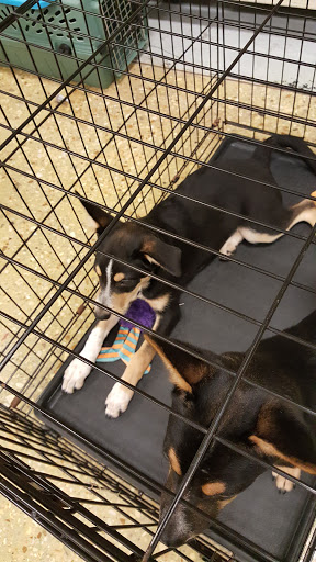 Pet Supply Store «PetSmart», reviews and photos, 45 Park Pl Dr, Covington, LA 70433, USA