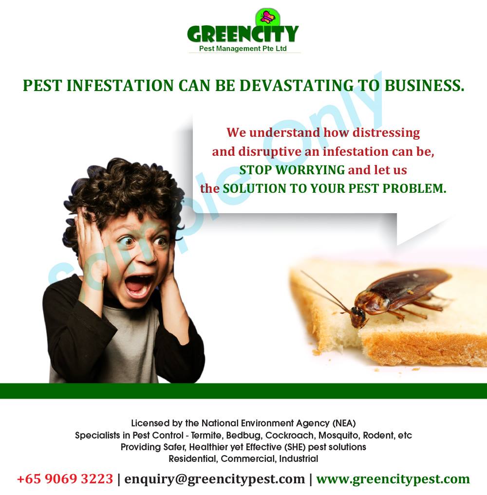 GreenCity Pest Management Pte Ltd