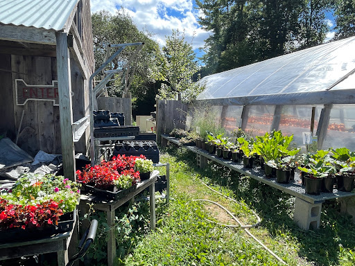 Produce Market «Smith Farm», reviews and photos, 131 Kimball Hill Rd, Hudson, NH 03051, USA