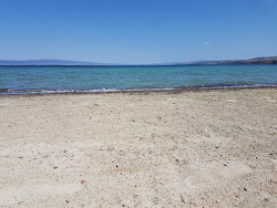 Foto di Spiaggia di Bolayir area servizi