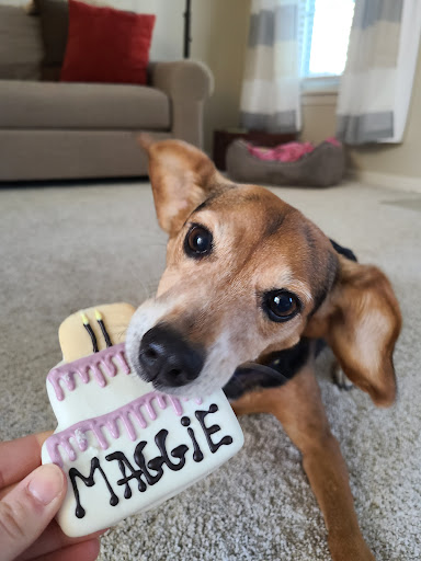 Pet Supply Store «Three Dog Bakery Inc», reviews and photos, 13904 Town Center Blvd # 200, Noblesville, IN 46060, USA