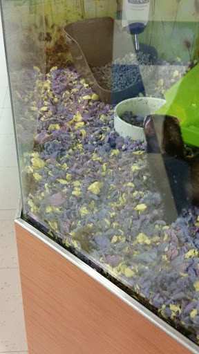 Pet Supply Store «Petco Animal Supplies», reviews and photos, 8010 Wedgewood Ln N, Maple Grove, MN 55369, USA