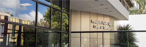 Centro de Telemedicina - Fundacion Peluffo Giguens
