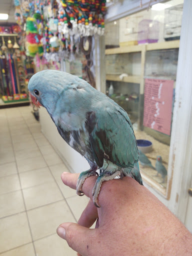 Pet Store «Fosters Exotic Pet Center», reviews and photos, 40116 US Hwy 19 N, Tarpon Springs, FL 34689, USA