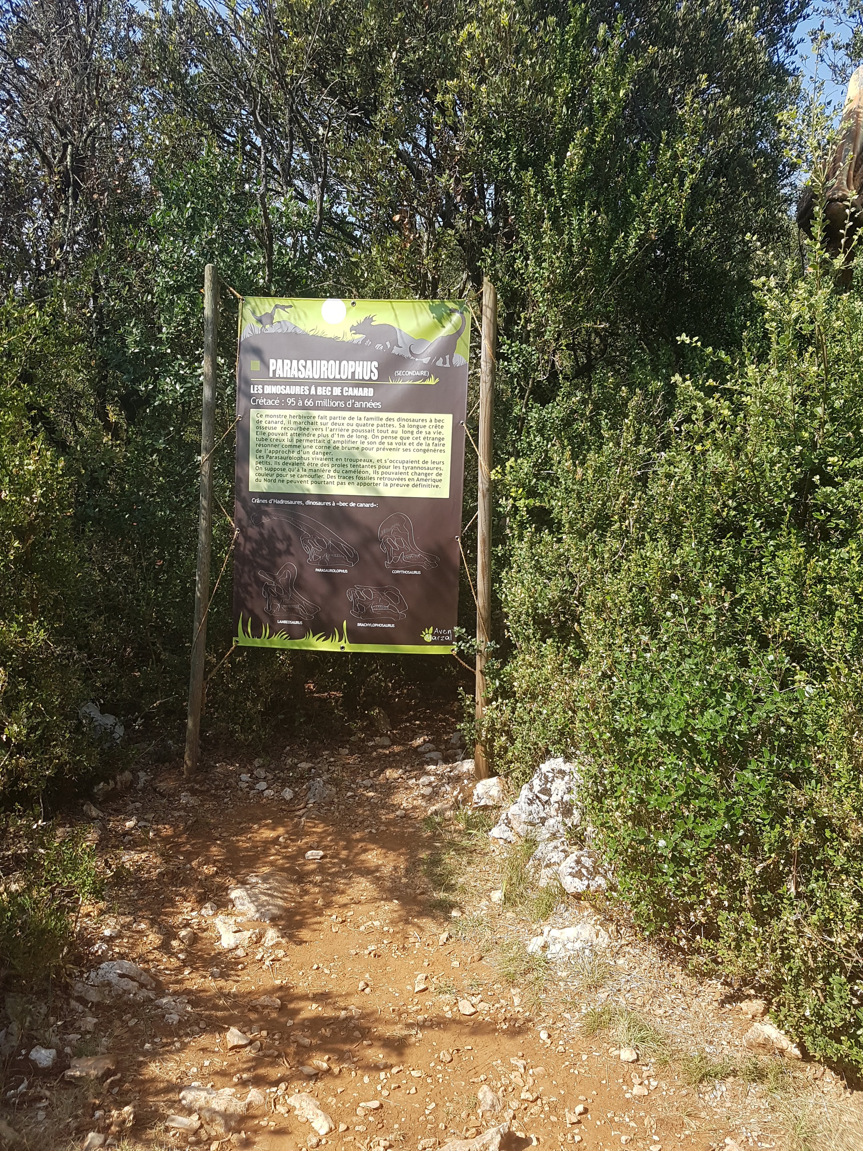 Photo n° 35 de l'avis de Mick.u fait le 05/09/2018 à 21:01