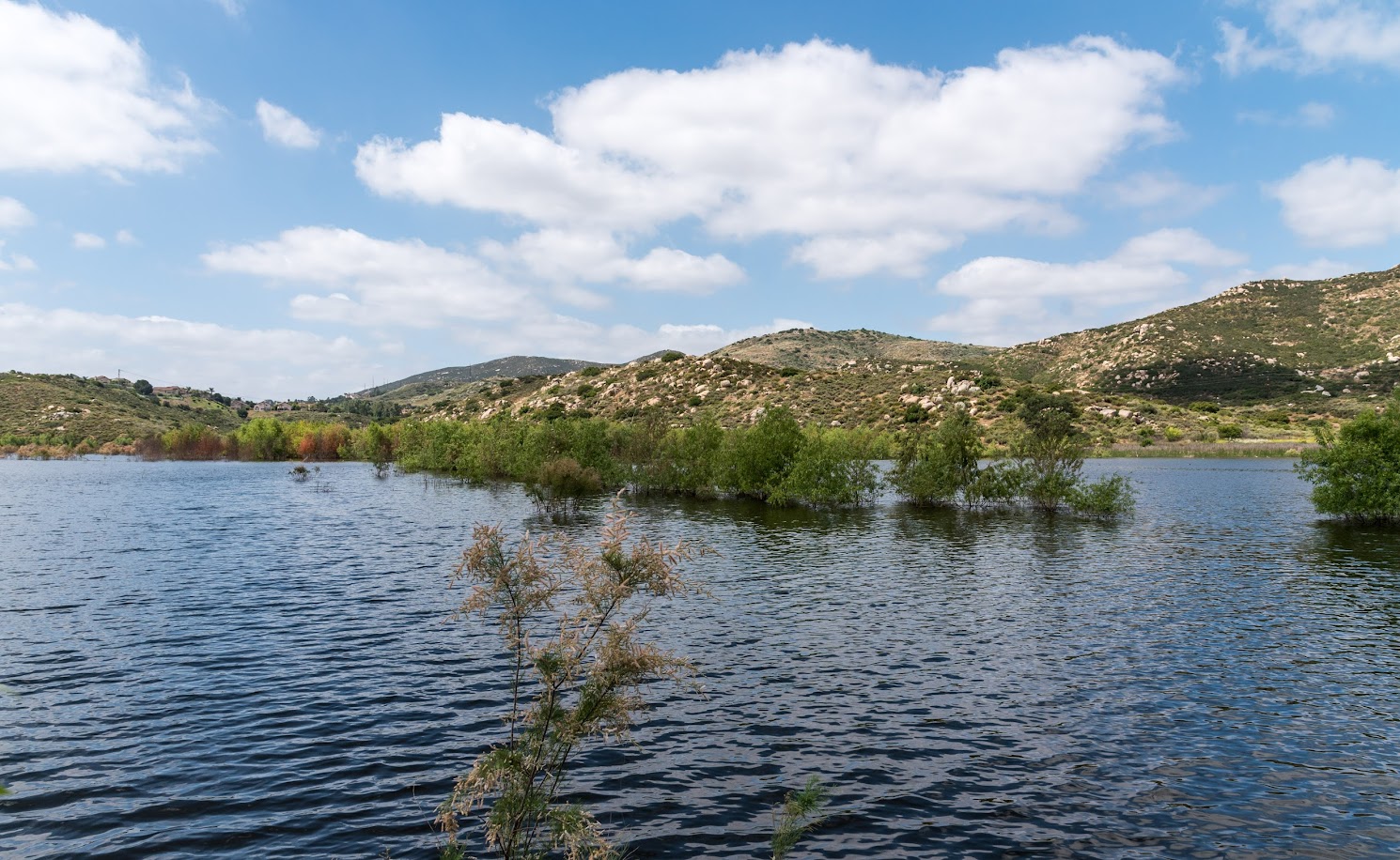 Lake Hodges